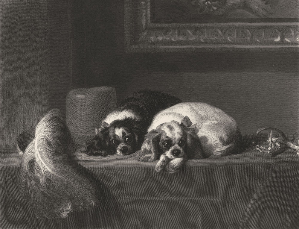 DOGS. The Cavalier's pets-Landseer c1870 old antique vintage print picture